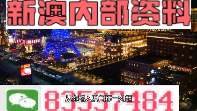 澳门2024资料大全，历史、文化、旅游与经济展望，澳门2024全景展望，历史、文化、旅游与经济资料大全