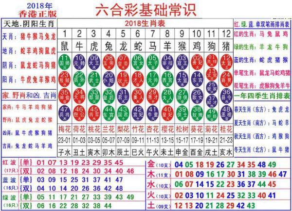 澳门正版资料大全资料生肖卡,准确资料解释落实_豪华版180.300