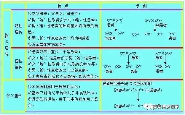 2024澳门开什么特马,稳定性方案解析_潮流版76.950