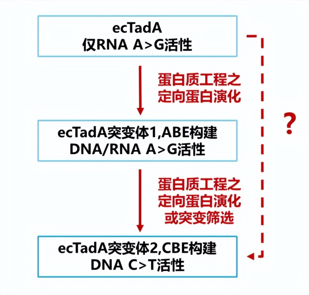 一码一肖100%精准,深层策略设计解析_顶级款63.21