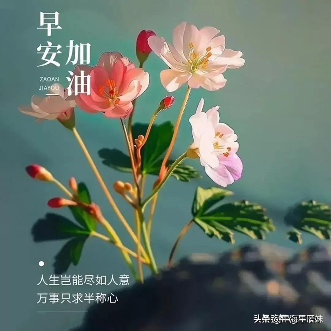 光影之舞 第6页