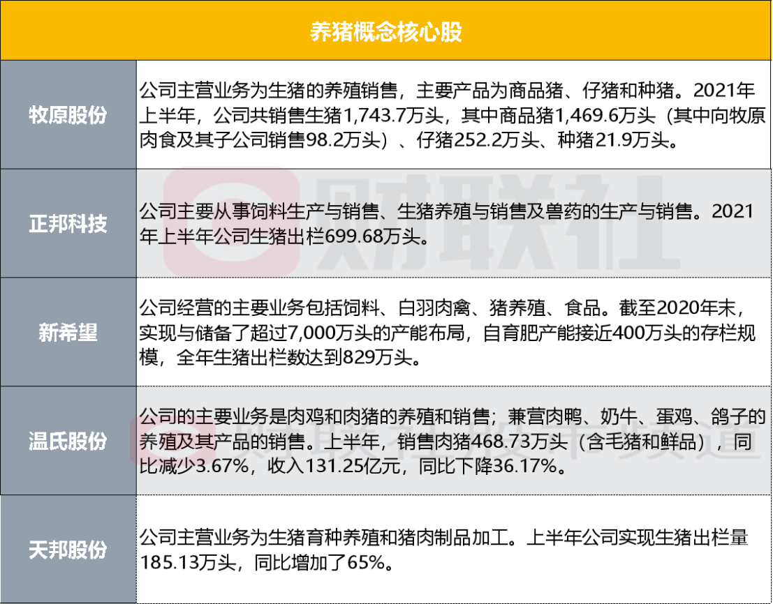 一码一肖100%中用户评价,长期性计划定义分析_10DM194.482