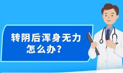 新澳精准资料大全免费更新,数据解析支持计划_运动版22.162