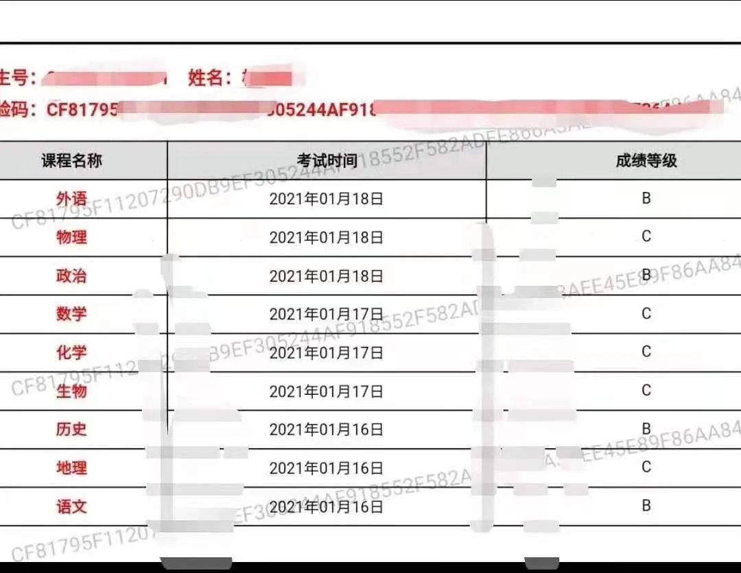 新奥码开奖结果查询,权威分析解释定义_GT70.587