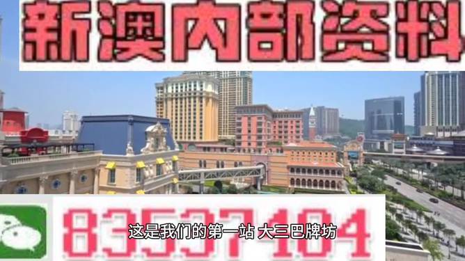 探索未来之门，揭秘新澳门免费精准资料（2024版），揭秘新澳门未来之门，免费精准资料探索与犯罪风险警告（2024版）