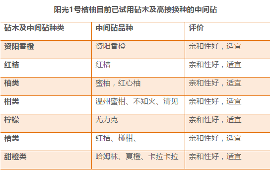 2024年今晚开奖结果查询,全面评估解析说明_8K39.210