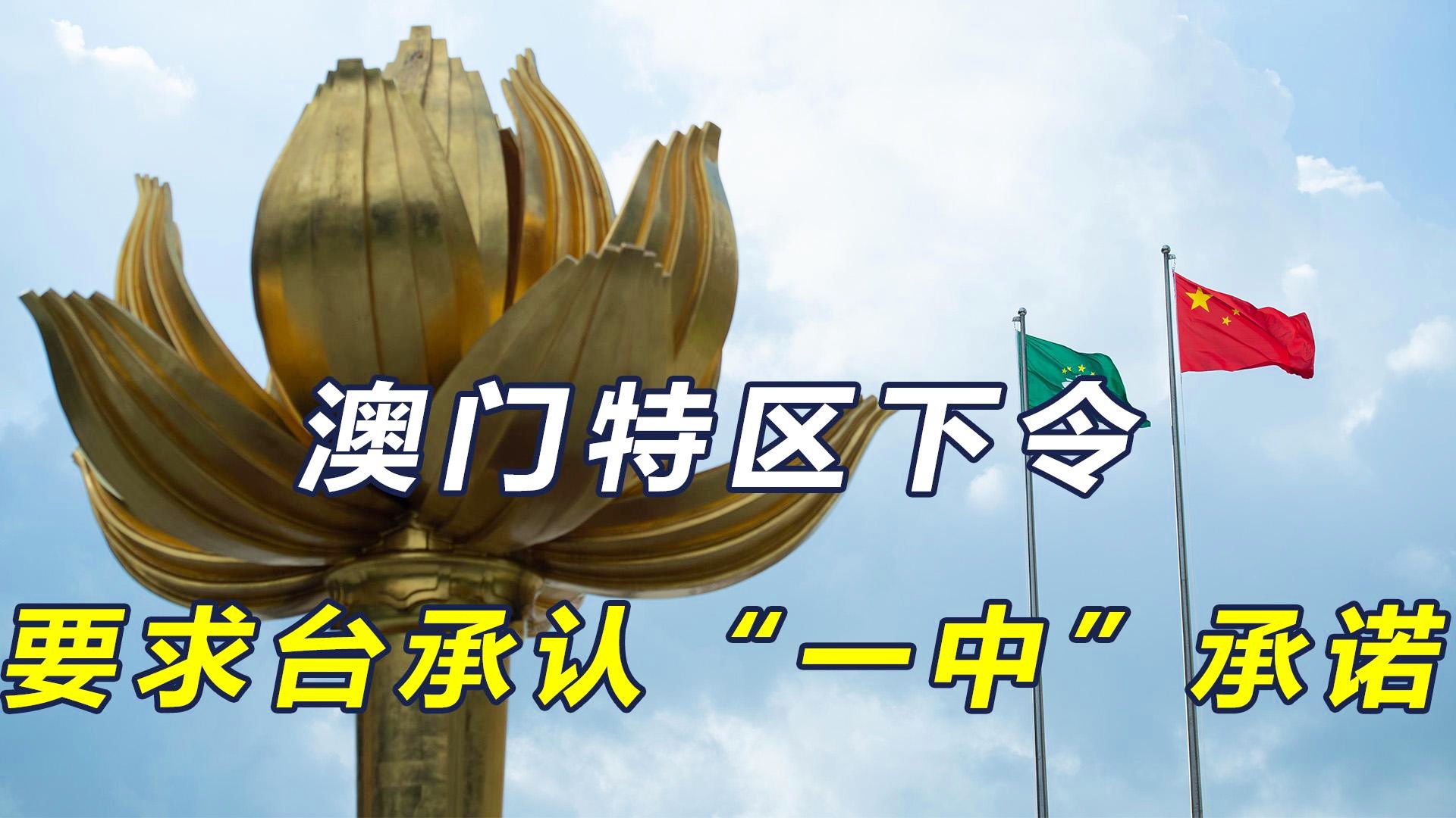 澳门一码一肖一特一中直播开奖，揭示背后的风险与犯罪问题，澳门一码一肖直播开奖背后的风险与犯罪问题揭秘