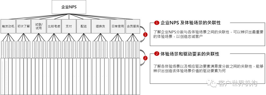 二四六王中王香港资料的核心要素：关键点全面剖析