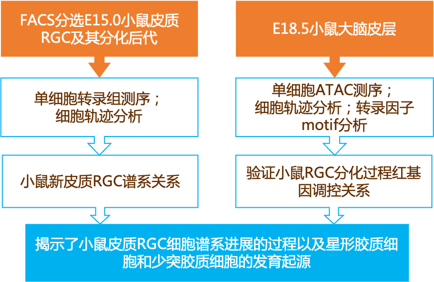 新奥彩资料长期免费公开,确保解释问题_社交版54.308