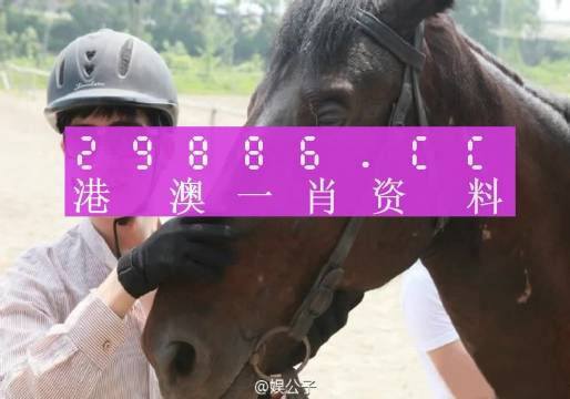 澳门一肖一码一必中一肖：实战经验分享